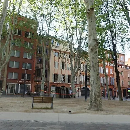 Central, Cozy And Warm Toulouse