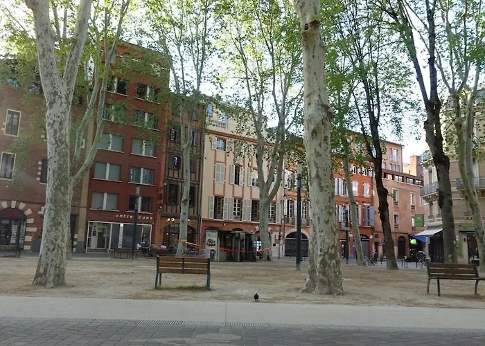 Central, Cozy And Warm Тулуза